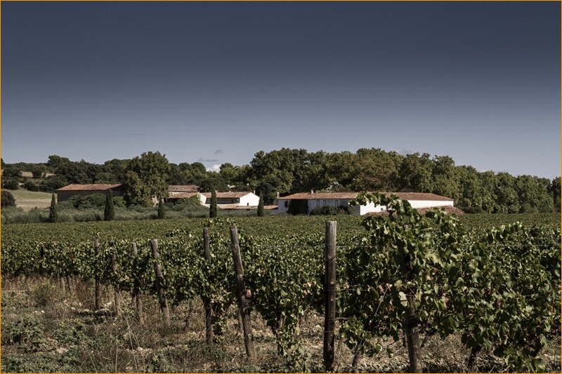 Fabienne GUY Enza FRAISSE Château Coujan