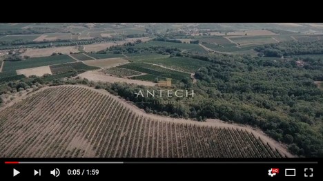 millésime 2017 Antech.jpg