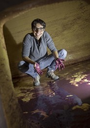 millésime 2017 Chateau Beabois.jpg