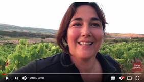 Derniers jours de vendanges à Roquemale 18 09 2017.png